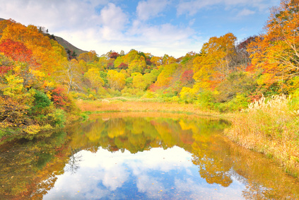 Automne